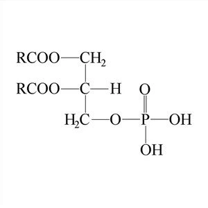 Modifield Soja Fosfolipide