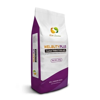 Welbuty Plus (gecoate tributyrin 60%): zorg voor een optimale darmgezondheid bij dieren